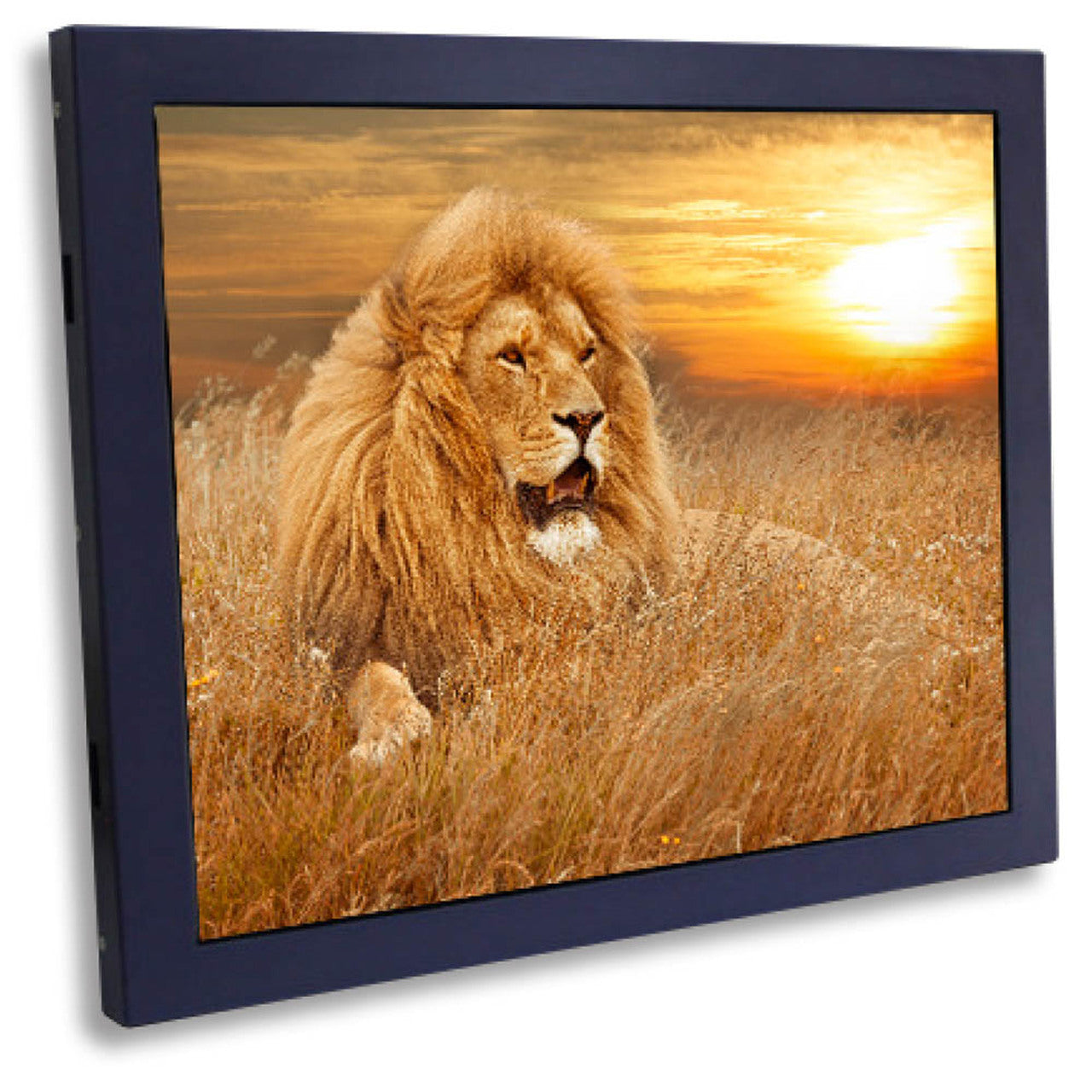 Sold by Miele Manufacturing (Miele MFG). 19” Goldfinger Monitor: Used. Used with Pennsylvania Skill (PA Skill) Flex and Napoleon cabinets. 19” Touchscreen LCD Monitor. PA Skill is powered by Pace-O-Matic (POM) and built by Miele Manufacturing (Miele MFG).